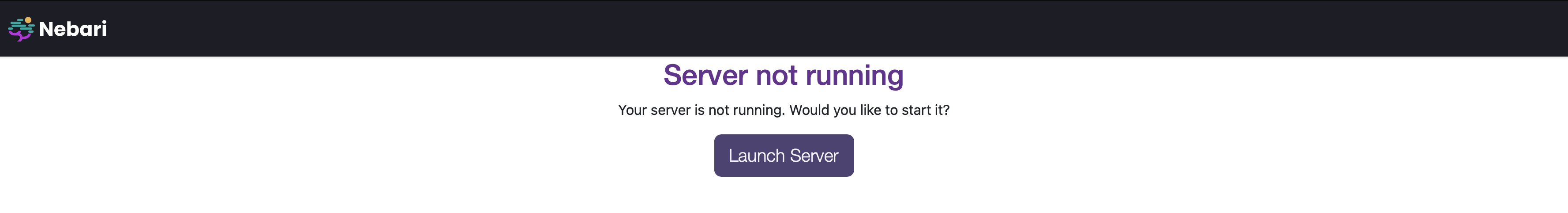 Nebari dashboard main screen - displays a button &quot;Launch Server&quot;